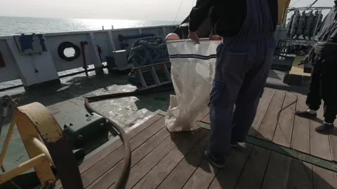  Scientific Preparing A Bongo Nets To Take Samples Of Microorganisms  Stockbeeldmateriaal 150506749