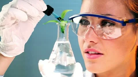 Scientific research Stock Footage
