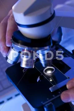 Scientific research Stock Photos