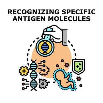 Scientific research recognizing specific antigen molecules concept Stock Illustration