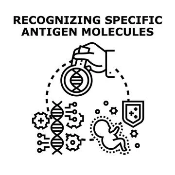 Scientific research recognizing specific antigen molecules concept Stock Illustration