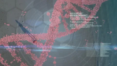 Scientific simulation interface showcasing twisting pink helix with code text Stock Footage 309096700