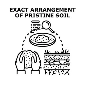 Scientific soil analysis examining earth composition Stock Illustration