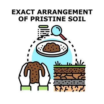 Scientific soil analysis examining earth composition Stock Illustration