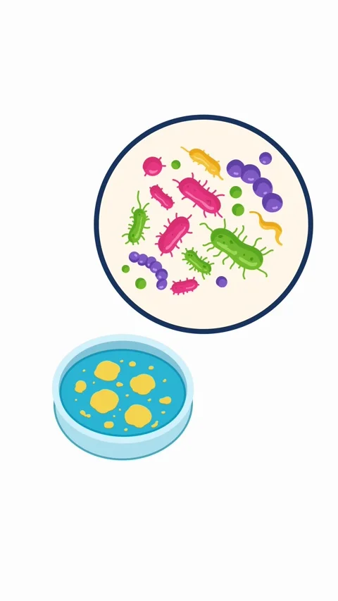 Scientific study of bacteria and viruses in laboratory Stock Footage 336175550
