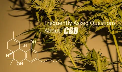 Scientific study of chemical elements in marijuana. Chemical formula of CBD C Stock Photos