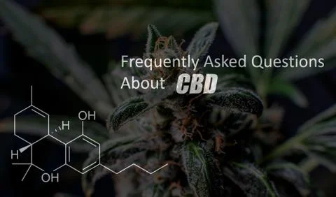 Scientific study of chemical elements in marijuana. Chemical formula of CBD C Stock Photos