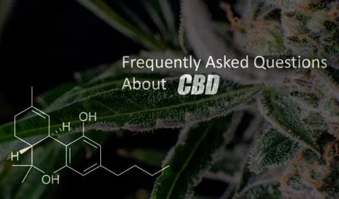 Scientific study of chemical elements in marijuana. Chemical formula of CBD C Stock Photos