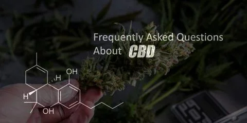 Scientific study of chemical elements in marijuana. Chemical formula of CBD C Stock Photos