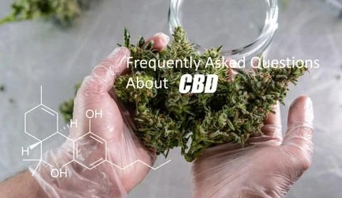 Scientific study of chemical elements in marijuana. Chemical formula of CBD C Stock Photos