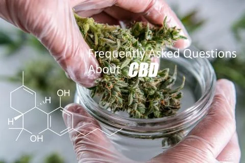 Scientific study of chemical elements in marijuana. Chemical formula of CBD C Foto stock