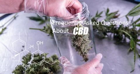 Scientific study of chemical elements in marijuana. Chemical formula of CBD C Stock Photos