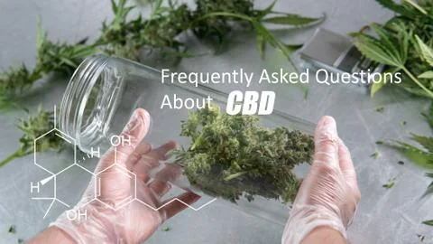 Scientific study of chemical elements in marijuana. Chemical formula of CBD C Stock Photos