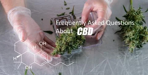 Scientific study of chemical elements in marijuana. Chemical formula of CBD C Stock Photos