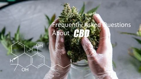 Scientific study of chemical elements in marijuana. Chemical formula of CBD C Stock Photos