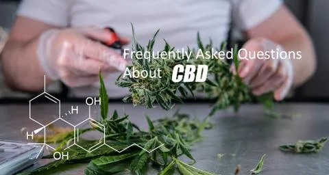 Scientific study of chemical elements in marijuana. Chemical formula of CBD C Stock Photos