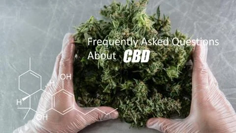 Scientific study of chemical elements in marijuana. Chemical formula of CBD C Stock Photos