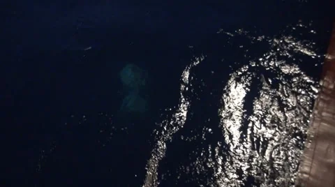 Scientific taking samples of an ocean microorganisms from a Bongo nets Stock Footage 36445655