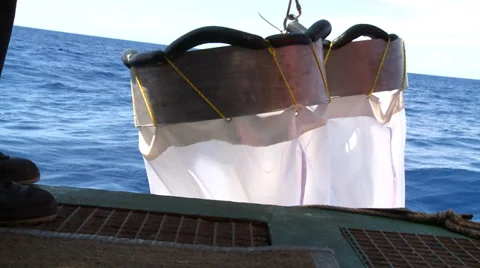 Scientific taking samples of an ocean microorganisms from a Bongo nets Stock Footage 36446910