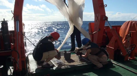 Scientific taking samples of an ocean microorganisms from a Bongo nets Stock Footage 36465268