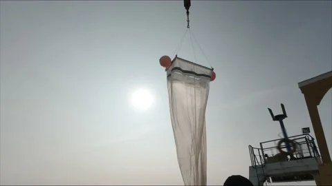  Scientific Taking Samples Of An Ocean Microorganisms From A Bongo Nets  Stock Footage 150506750