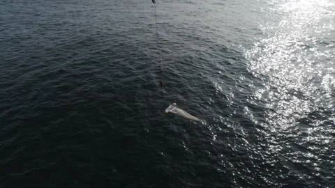  Scientific Taking Samples Of An Ocean Microorganisms From A Bongo Nets  Stockbeeldmateriaal 150506782