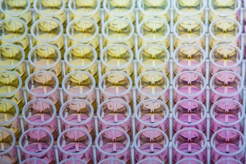 Scientific test with colorants on samples Stock-Fotos