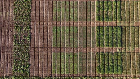 Scientific test over agricultural fields aerial Montpellier 스톡 동영상 252089195