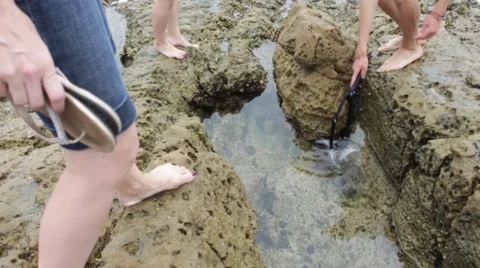 Scientific Testing Stock Footage 51882835