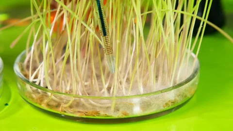 Scientific video in the field of biochemistry Stock Footage 123267364