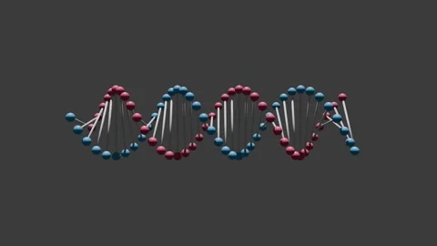 Scientific Visualization of a Rotating Double Helix DNA Molecule Video stock 337356885