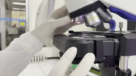 Scientis working in laboratory. Stock Footage 202205789