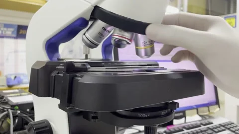 Scientis working in laboratory. Stock Footage 202205798