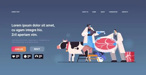 Scientist adding drop of liquid from flask in petri dish with beef steak Illustrazione stock