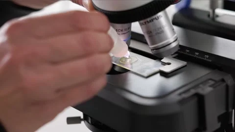 Scientist adding oil to a slide to look at sample on objective lens 스톡 동영상 232008216