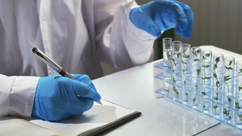 Scientist adds few drops of reagent to mixture with plant, experiments slow-mo Video stock 102019747