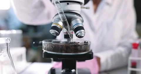 Scientist adds liquid to sample with soil closeup Stock Footage 267848358