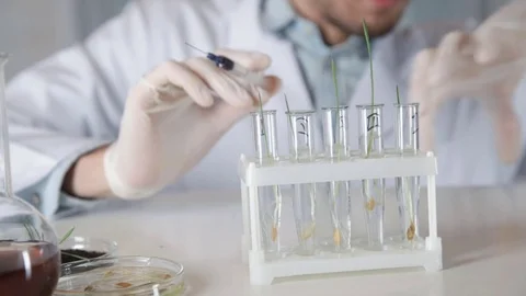 The scientist adds red liquid in test tube 스톡 동영상 73111100