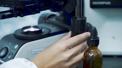 Scientist adjust microscope in laboratory close up Video stock 158686802