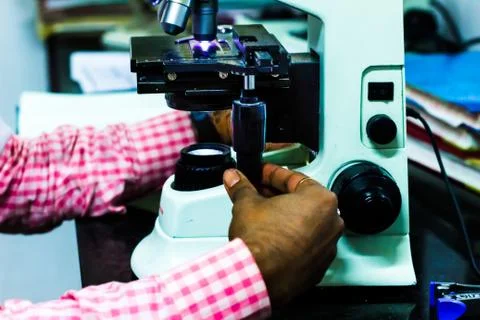 Scientist adjusting knobs of a light microscope Stock Photos
