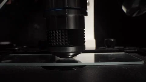 Scientist adjusting microscope focus for sample analysis Stock Footage 315811036
