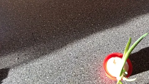 A scientist adjusts a microscope Stock Footage 111180849