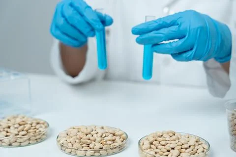 Scientist analyze biochemical sample in advanced scientific laboratory. Med.. Foto stock