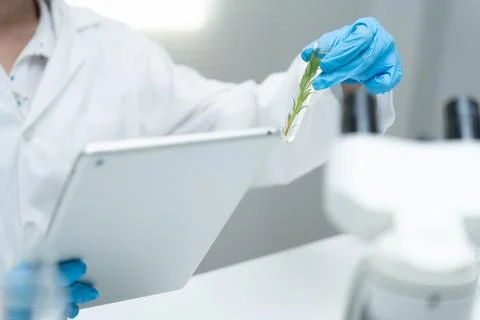 Scientist analyze biochemical sample in advanced scientific laboratory. Med.. Stock Photos