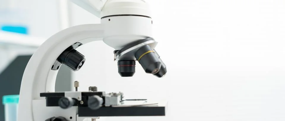 Scientist analyze biochemical samples in advanced scientific laboratory. Me.. 스톡 사진