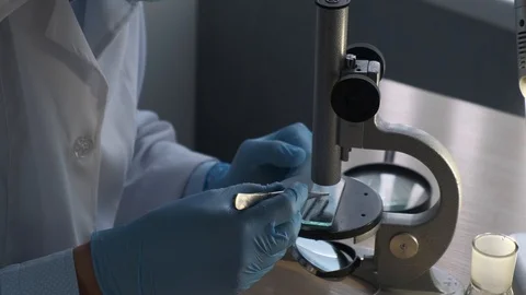 A scientist analyzes and studies a piece of meat under a microscope Video stock 116109499