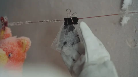Scientist analyzes preserved icy specimen. Scientist meticulously examines Stock Footage 346470908