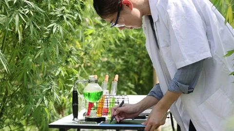 Scientist Analyzing and researching hemp oil extracts. Stock Footage 198980864