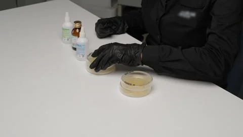 Scientist Analyzing Bacteria Samples in Petri Dishes Stock Footage 302888609