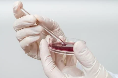 Scientist is analyzing blood sample. Stock Photos